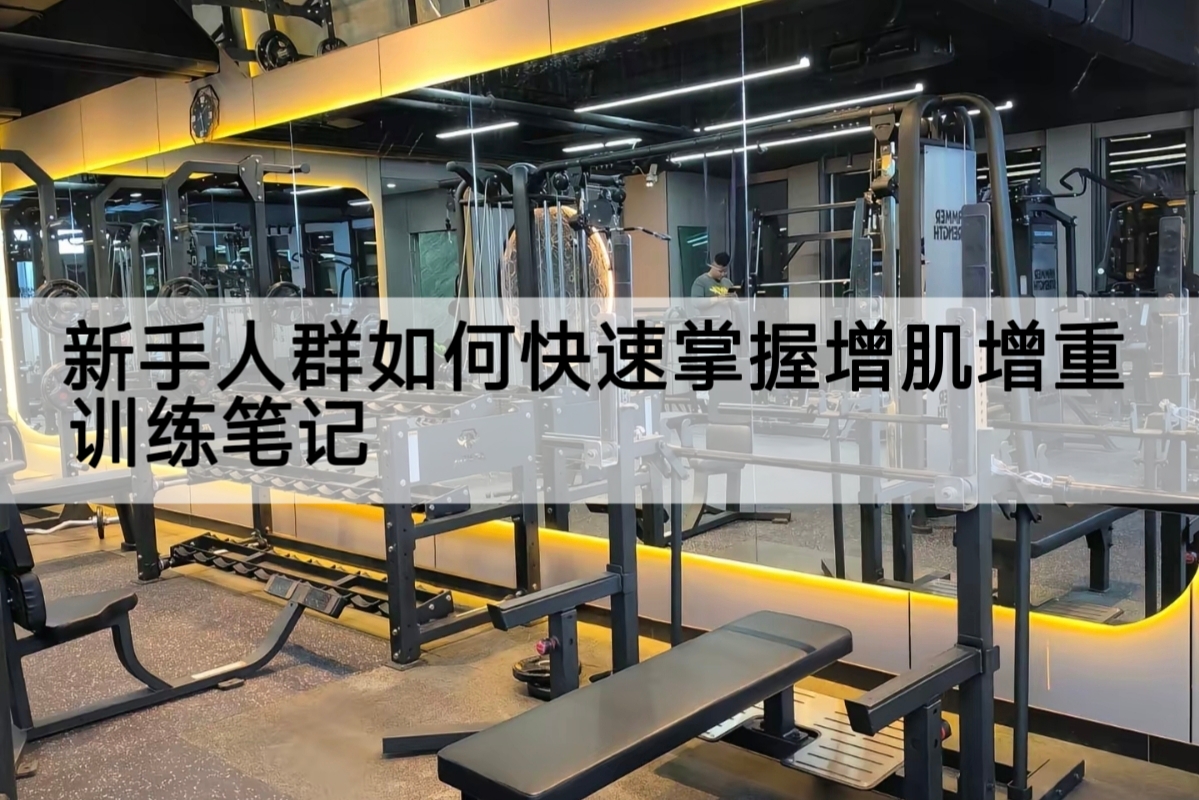 新手人群如何快速掌握增肌增重训练笔记